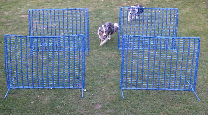 4X Hoopers Zaun „Blue Gate”/Gatter - NADAC Hoopers Agility Gerät – Hoopers Agility Gate