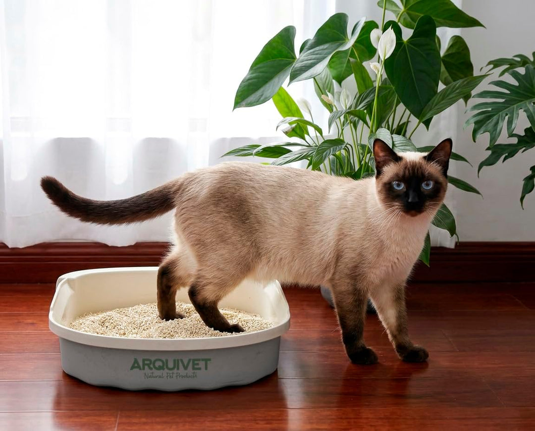 Tofu - Original Katzenstreu - 6L - ARQUIVET 4, 4