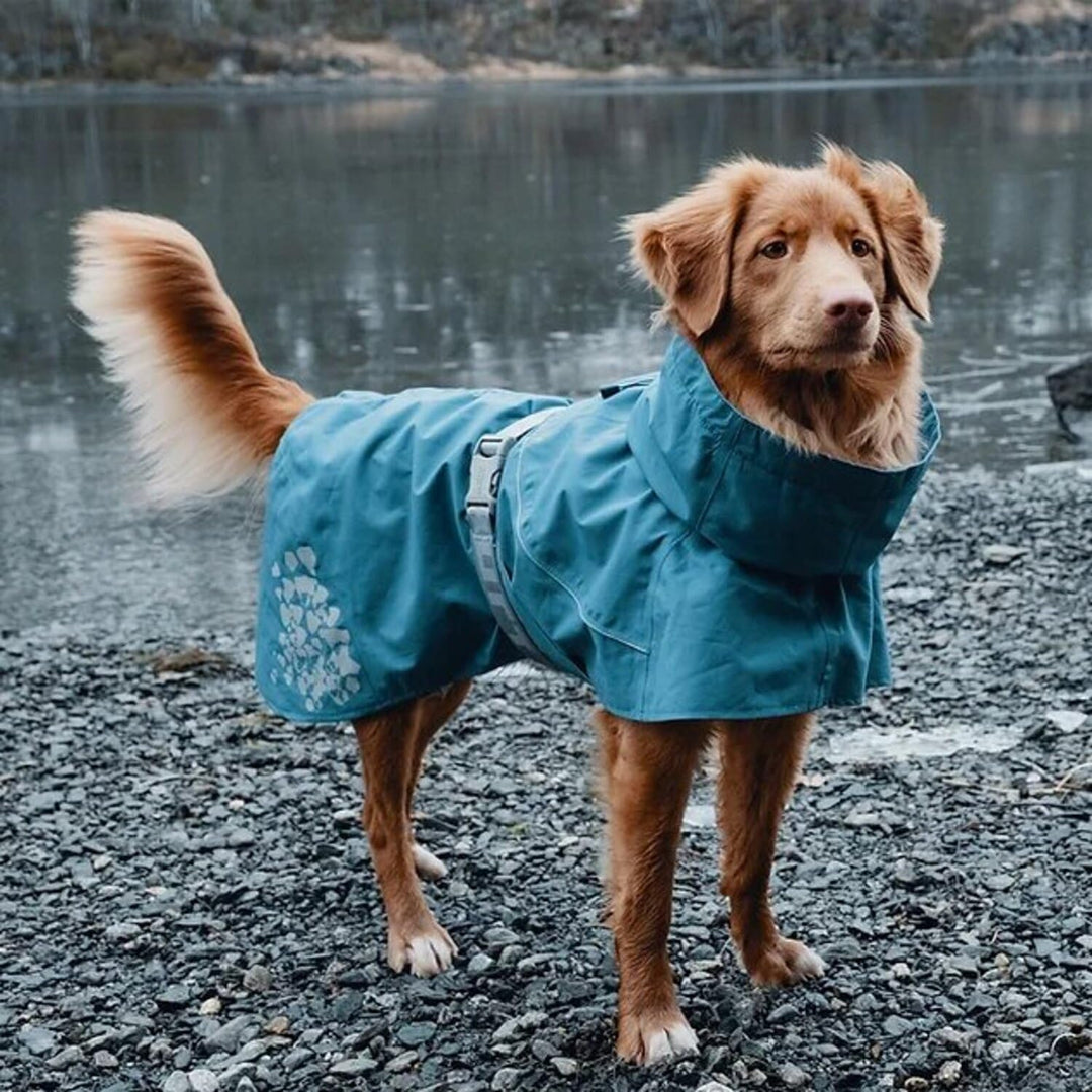 Hurtta Monsoon Hunderegenmantel, Wasserdicht Regenjacke für Hunde mit Reflektoren, Blau 45 cm Heidel