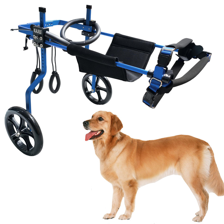 KAJILE Verstellbarer 2-Rad-Hunderollstuhl, XXL-3 Grösse für behinderte Hunde Hinterbeine Rehabilitat