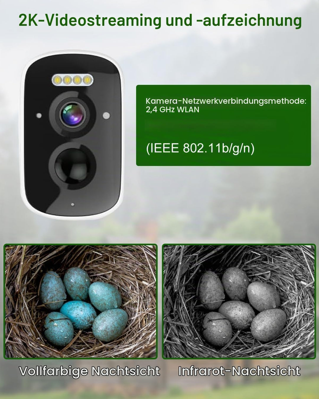 Nistkasten mit HD Kamera Solarbetriebenes, Live Stream Al Vogelbestimmer, Beobachten Sie das Nisten