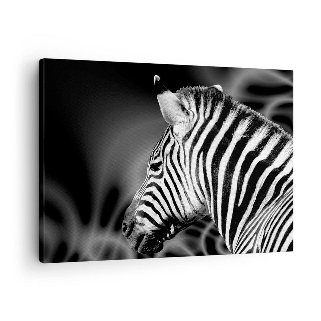 Bilder auf Leinwand Tier Zebra Streifen Leinwandbild mit Rahmen 70x50cm Wandbilder Dekoration Wohnzi