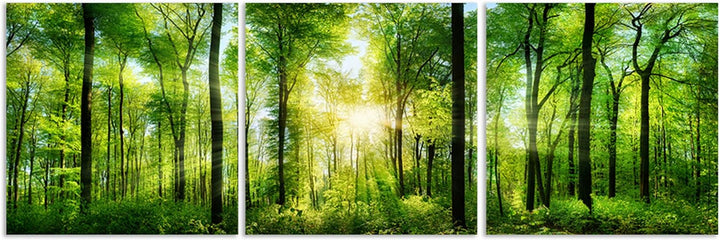 Feeby Bilder 3 Teile Wald Bäume 150x50 cm Wohnzimmer Schlafzimmer Büro Flur Küche Wandbilder Modern