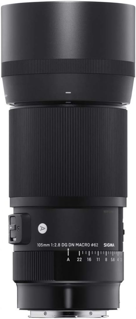 Sigma 105 mm F2.8 DG DN Makro Art (L-Mount)