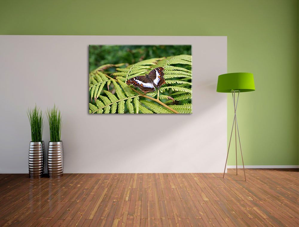 zarter Schmetterling auf Farnblatt auf Leinwand, XXL riesige Bilder fertig gerahmt mit Keilrahmen, K
