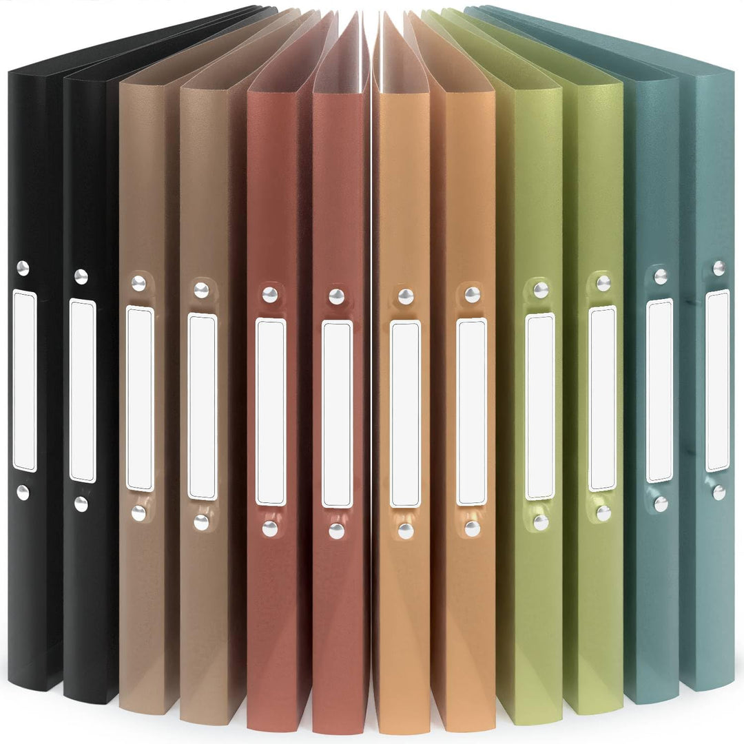 ACROPAQ - 12 x Ringbuch A4 - Mit 2 Ringen, Mit Rückenetiketten, Rückenbreite 2,5 cm, Wasser, Natur F
