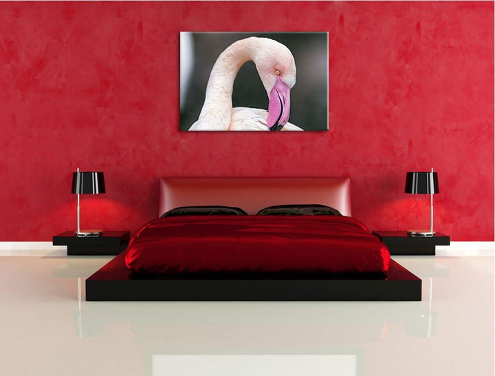Pixxprint Flamingo beim Putzen auf Leinwand, XXL riesige Bilder fertig gerahmt mit Keilrahmen, Kunst