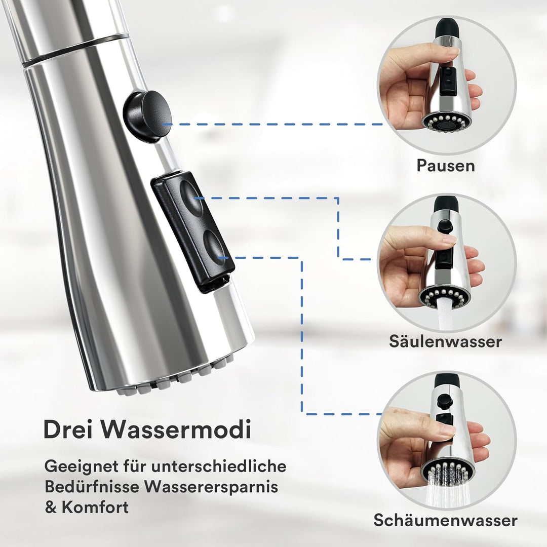 Coree Wasserhahn Küche, Hochdruck Küchenarmatur, Armatur Küche Ausziehbar, Mischbatterie Spültischar