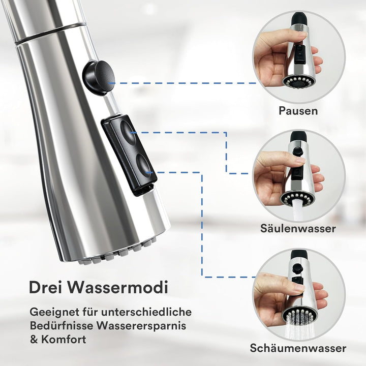 Coree Wasserhahn Küche, Hochdruck Küchenarmatur, Armatur Küche Ausziehbar, Mischbatterie Spültischar