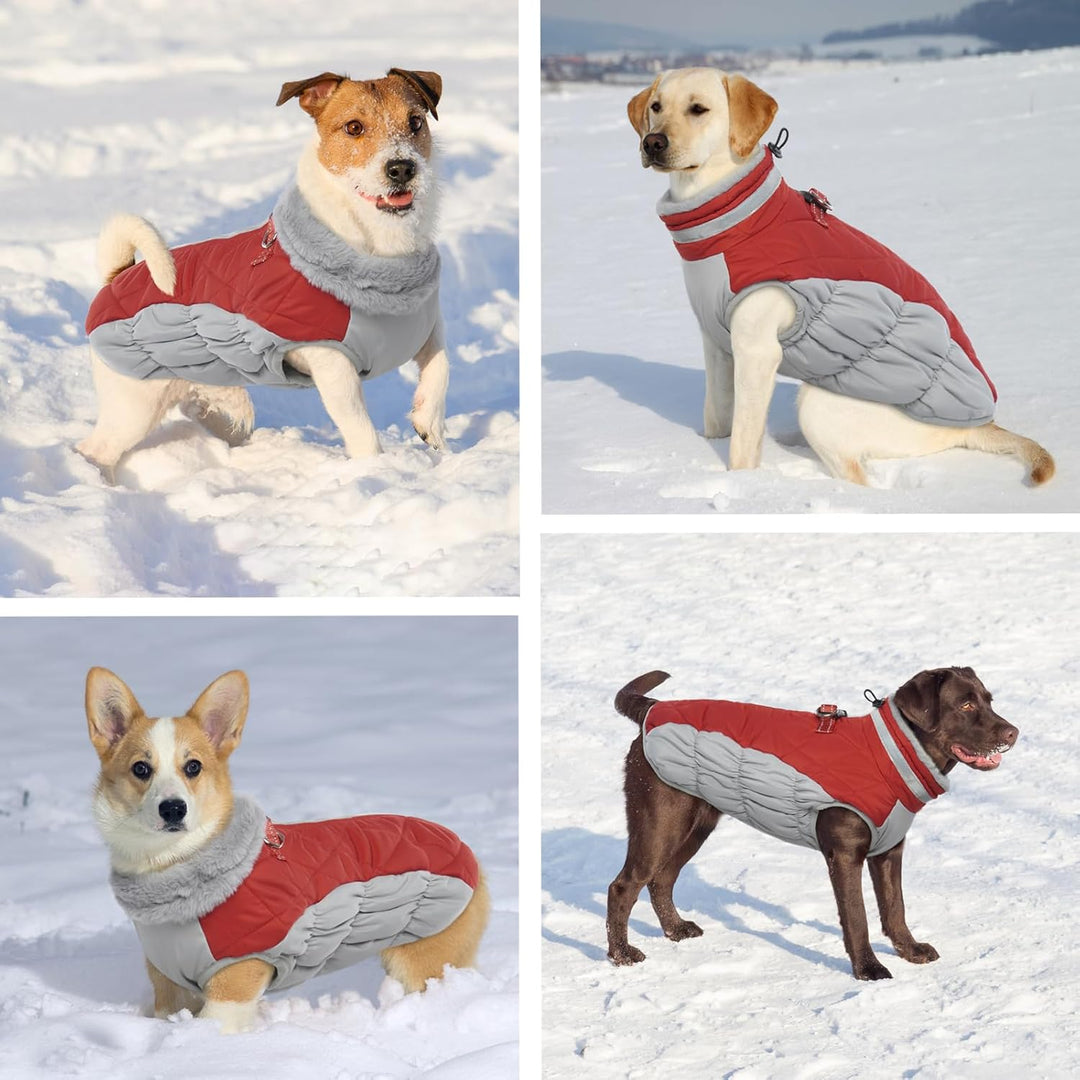 Hjumarayan Hundemantel für Kleine Hunde - Hundemantel Winter Hundemantel mit Geschirr Wintermantel H
