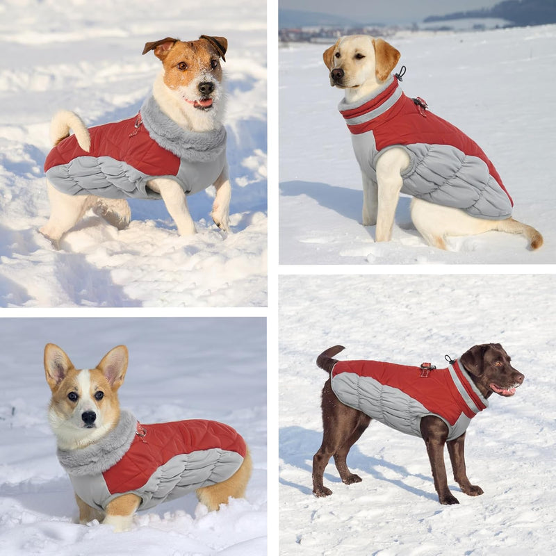 Hjumarayan Hundemantel für Kleine Hunde - Hundemantel Winter Hundemantel mit Geschirr Wintermantel H