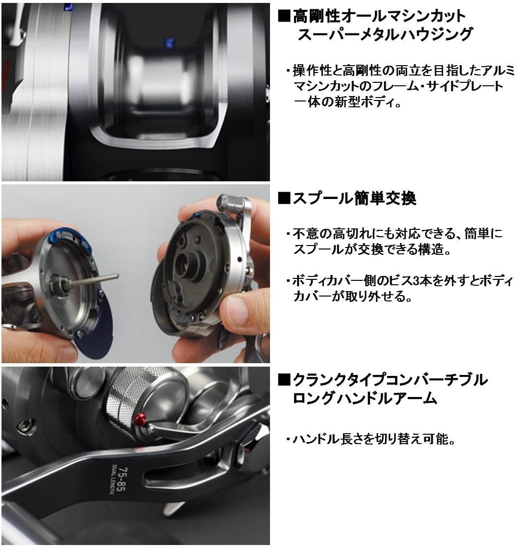 Daiwa - Fishing Reel Saltiga 2015 10 HL - SALTIGA1510HL