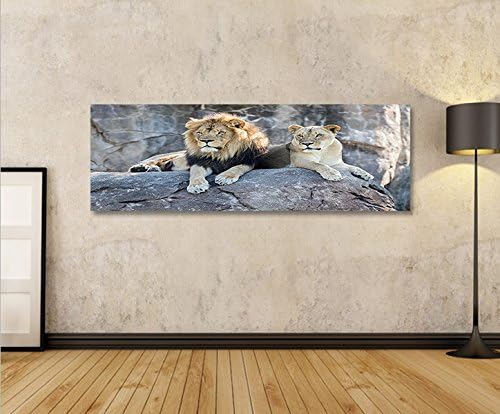 islandburner Bild Bilder auf Leinwand Löwen Paar V2 Panorama XXL Poster Leinwandbild Wandbild Dekoar