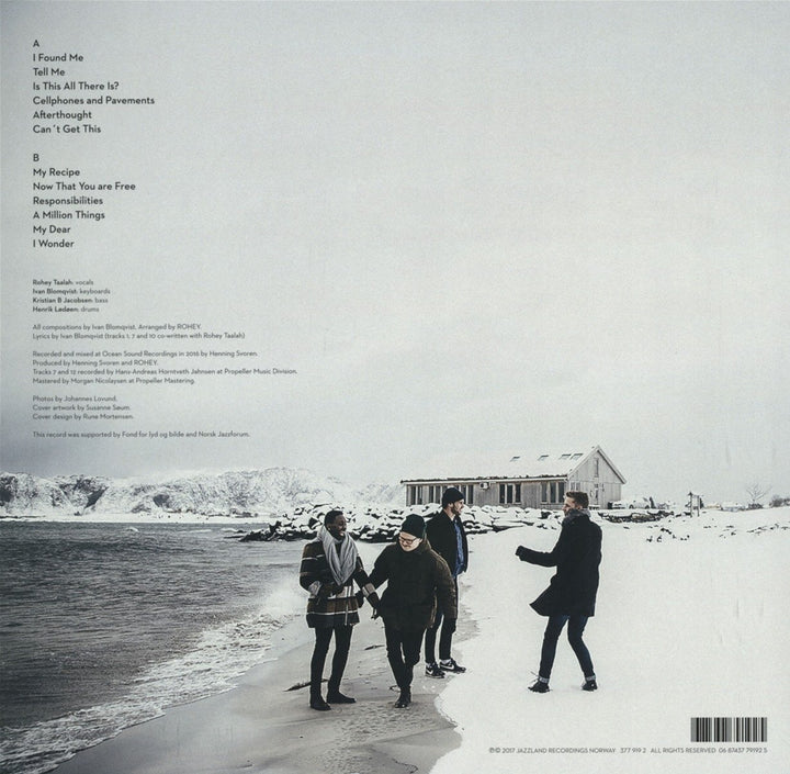 A Million Things, Vinyl