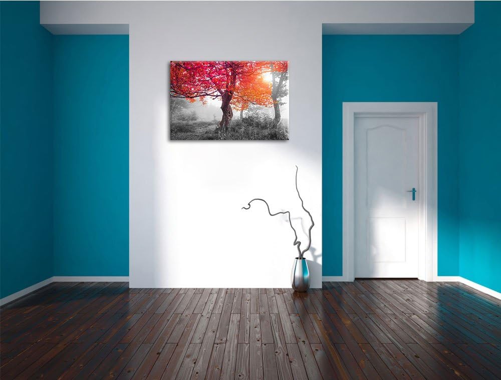 Zauberhafte Waldlandschaft schwarz/weiss Format: 100x70 cm auf Leinwand, XXL riesige Bilder fertig g