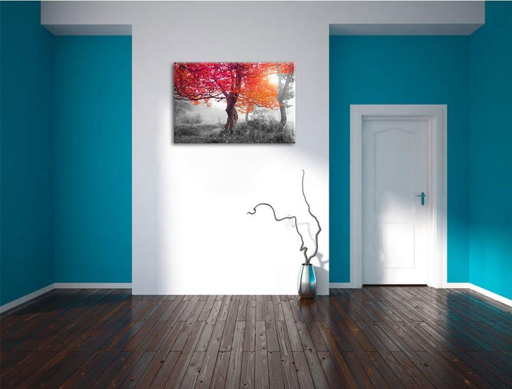 Zauberhafte Waldlandschaft schwarz/weiss Format: 100x70 cm auf Leinwand, XXL riesige Bilder fertig g
