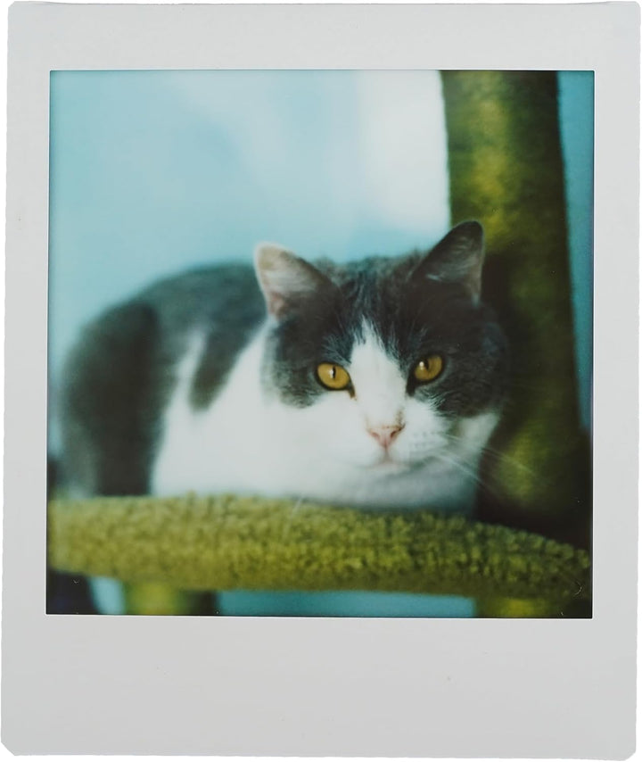 NONS Instant Back-H1P für Hasselblad (Instax Square Film) Set mit Viewfinder Frame Space Klassische