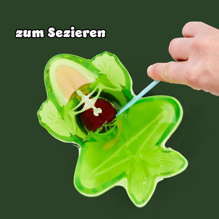 Simba Scout Dissect-It Frosch, zum Sezieren, 16cm, Skelett und Organe zum Zusammenbauen, Nachfüllset