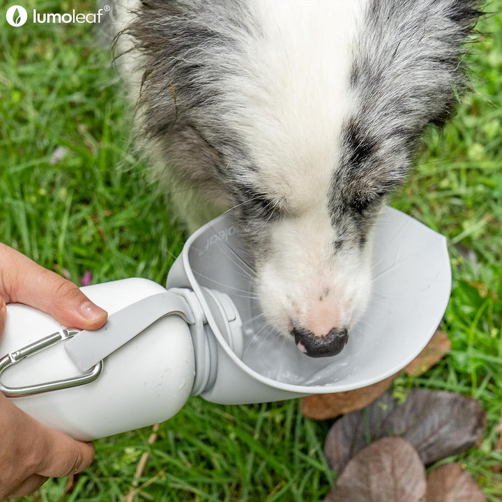 LumoLeaf Isolierte Edelstahl-Wasserflasche für Hunde, 800 ml – Hält Wasser stundenlang kühl oder war