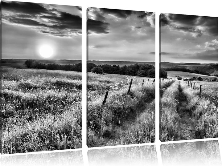 Pixxprint Bergwiese im Sonnenaufgang als Leinwandbild/Grösse: 3 Teilig (120x80) cm/Wandbild/Kunstdru