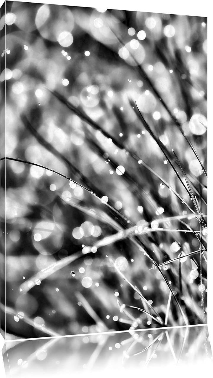 Monocrome, Nasses Gras, Format: 100x70 auf Leinwand, XXL riesige Bilder fertig gerahmt mit Keilrahme