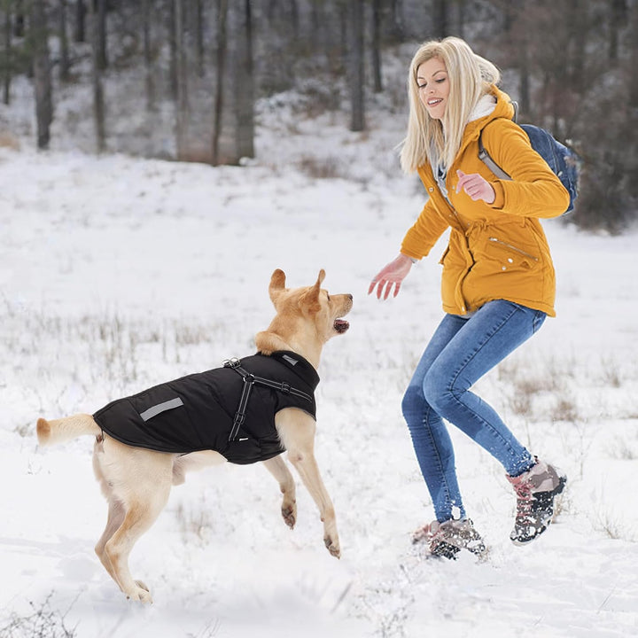 Hundemantel, Winter Hundejacke Wasserdicht Winddichte mit bauchschutz, Outdoor Hunde Wintermantel Hu