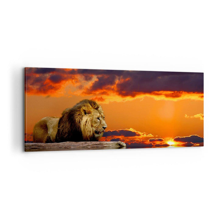 Wandbilder Dekoration Wohnzimmer Löwe Sonne Landschaft Panorama Bilder auf Leinwand 120x50cm Leinwan