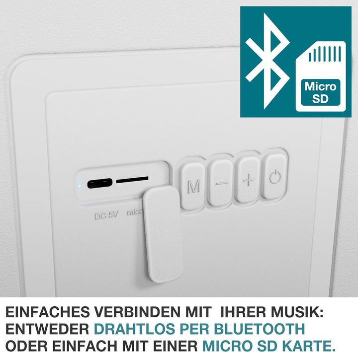 TOM 3in1 Musik Kühlbox 21l zum Kühlen, Warmhalten und Musik hören – mit Bluetooth Lautsprecher – Küh