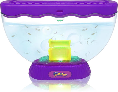 Bizak Sea Monkeys Ocean Zoo Schatztruhe mit Licht (63072322)