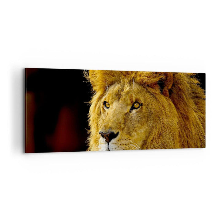 Wandbilder Dekoration Wohnzimmer Löwe Tiere Tierwelt Panorama Bilder auf Leinwand 120x50cm Leinwandb