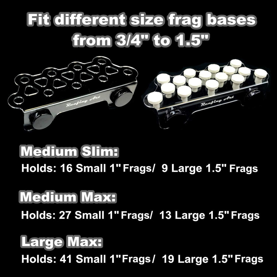 Reefing Art Magnetisches Korallen-Fragregal, Starke N52-Magnete (gross max.) Large Max, Large Max
