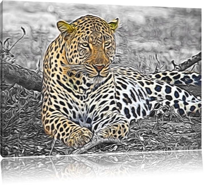 schöner Leopard liegt im Laub schwarz/weiss Deluxe Format: 100x70 cm auf Leinwand, XXL riesige Bilde