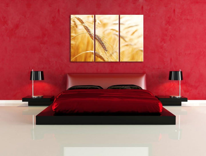 Weizen auf dem Feld als 3-Teiler Leinwandbild 120x80 Bild auf Leinwand, XXL riesige Bilder fertig ge