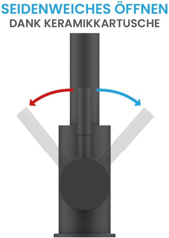 Bächlein Küchenarmatur Gleno (matt schwarz) – Einhand-Spültischbatterie aus Edelstahl mit 360° schwe