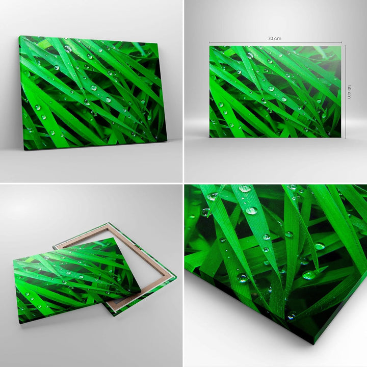 Bilder auf Leinwand Natur Gras Wasser Tropfen Leinwandbild 70x50cm Wandbilder Dekoration Wohnzimmer