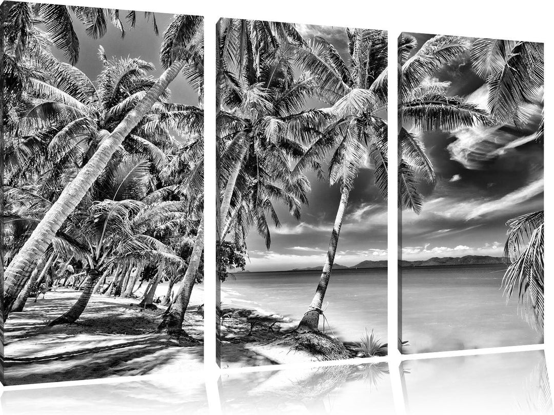 Pixxprint Palmen Traumstrand als Leinwandbild/Grösse: 3 Teilig (120x80) cm/Wandbild/Kunstdruck/ferti