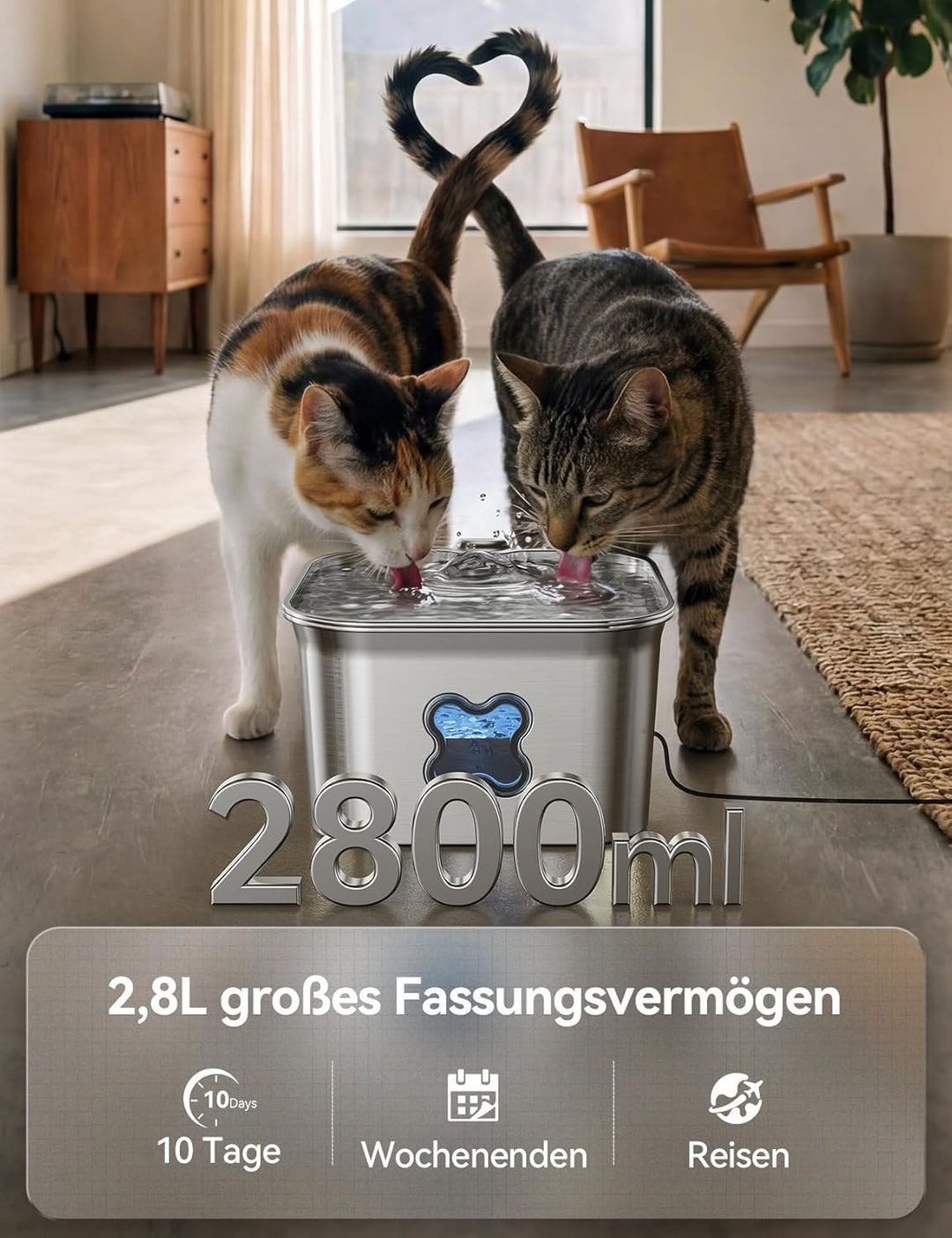 FEELNEEDY Katzenbrunnen Edelstahl, 2,8L Trinkbrunnen für Katze mit Kabel, Einfach zu Reinigen, katze
