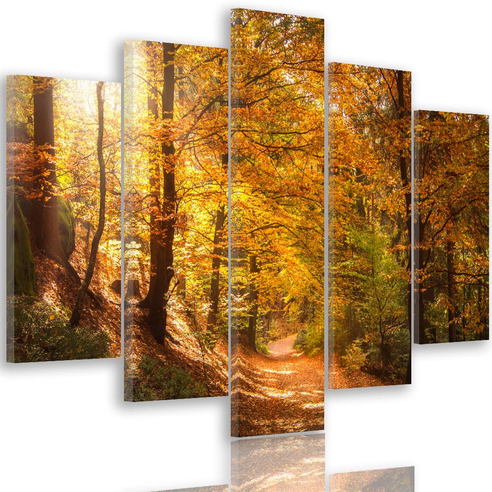 Leinwandbild 5 Teilig Natur Bild Wanddeko Herbst Wald Pfad Bäume orange 200x100 cm Leinwandbild 200x