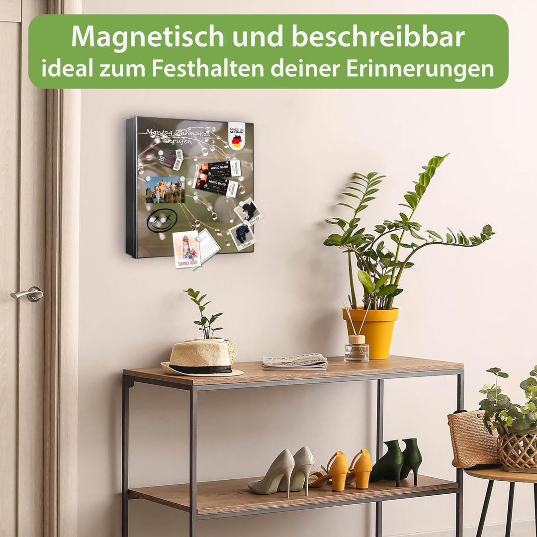 banjado® Grosser Schlüsselkasten Glas/Schlüsselbox 30cm x 30cm mit 50 Haken - Motiv Tau Auf Zweigen/