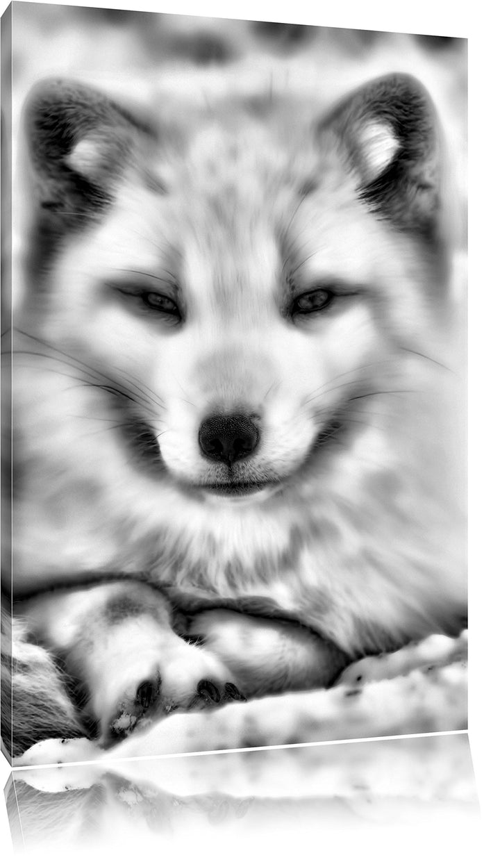 Monocrome, Weisser Fuchs, Format: 100x70 auf Leinwand, XXL riesige Bilder fertig gerahmt mit Keilrah