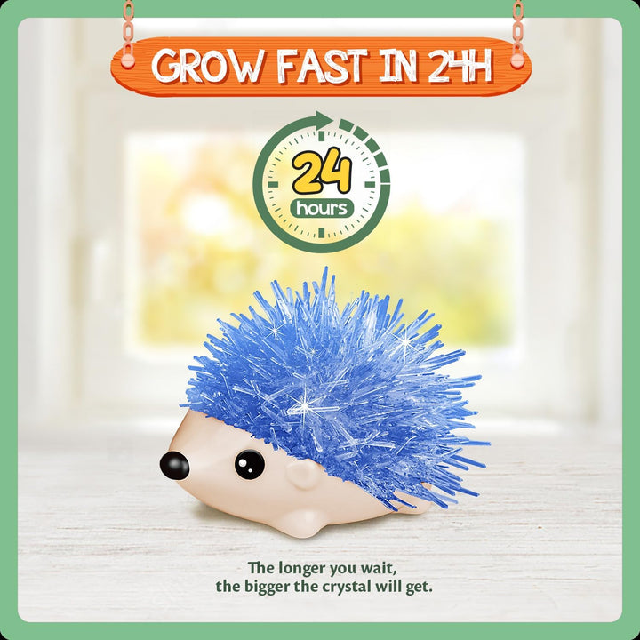 Igel Kristall Zücht Set, 2er Pack Kristall Hedgehog Growing Kit, Experimentierkasten für Kinder ab 8