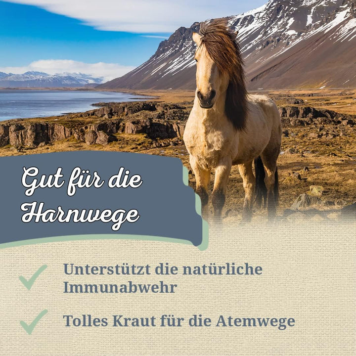 Krauterie Kapuzinerkresse für Pferde in Spitzenqualität - Artgerechtes Einzelfuttermittel für Pferde