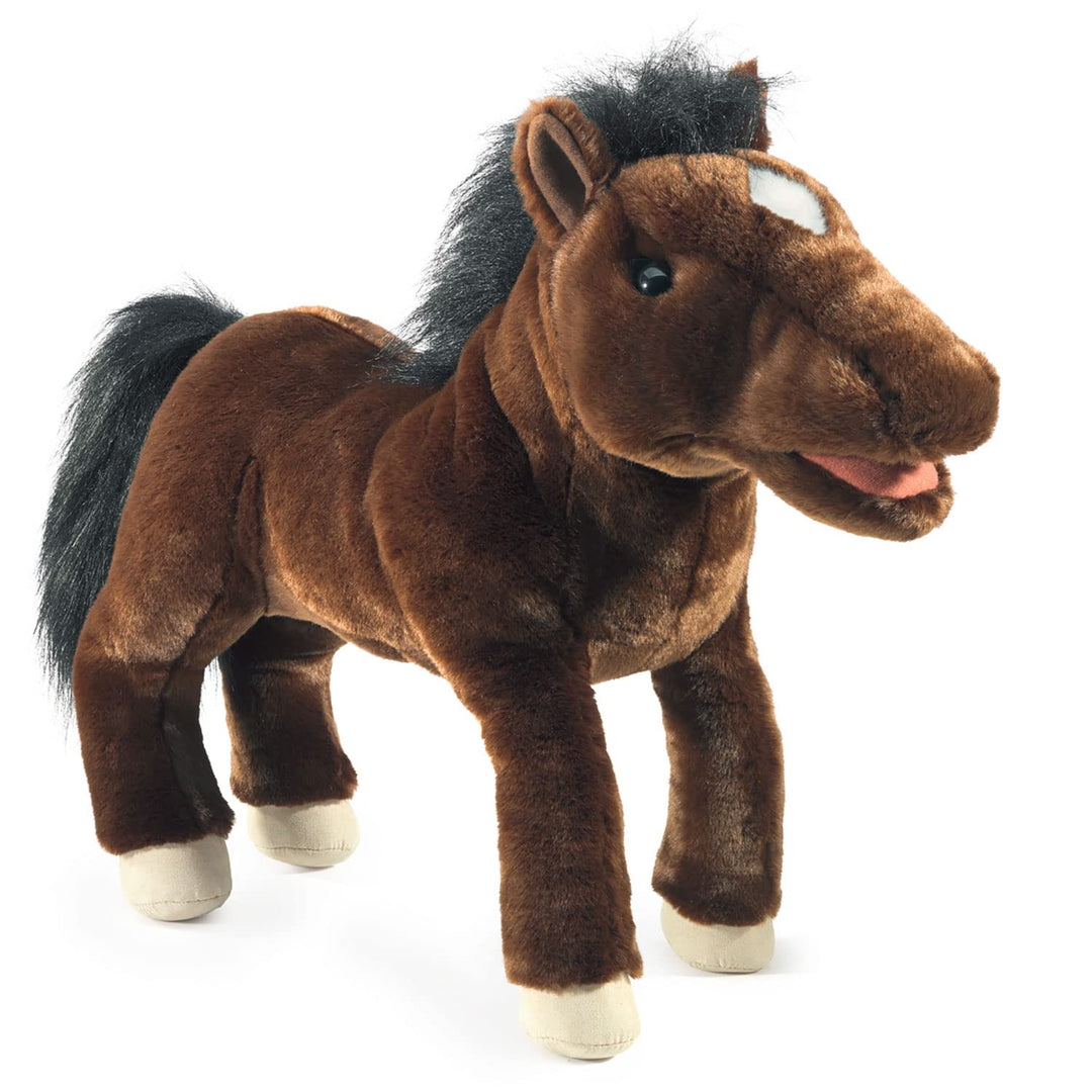 Horse/Pferd