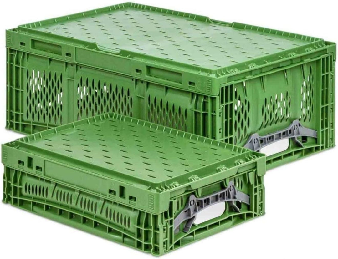 PROREGAL SuperSparSet 5x Stabile Profi-Klappbox Chameleon in Industriequalität | HxBxT 18x30x40cm |