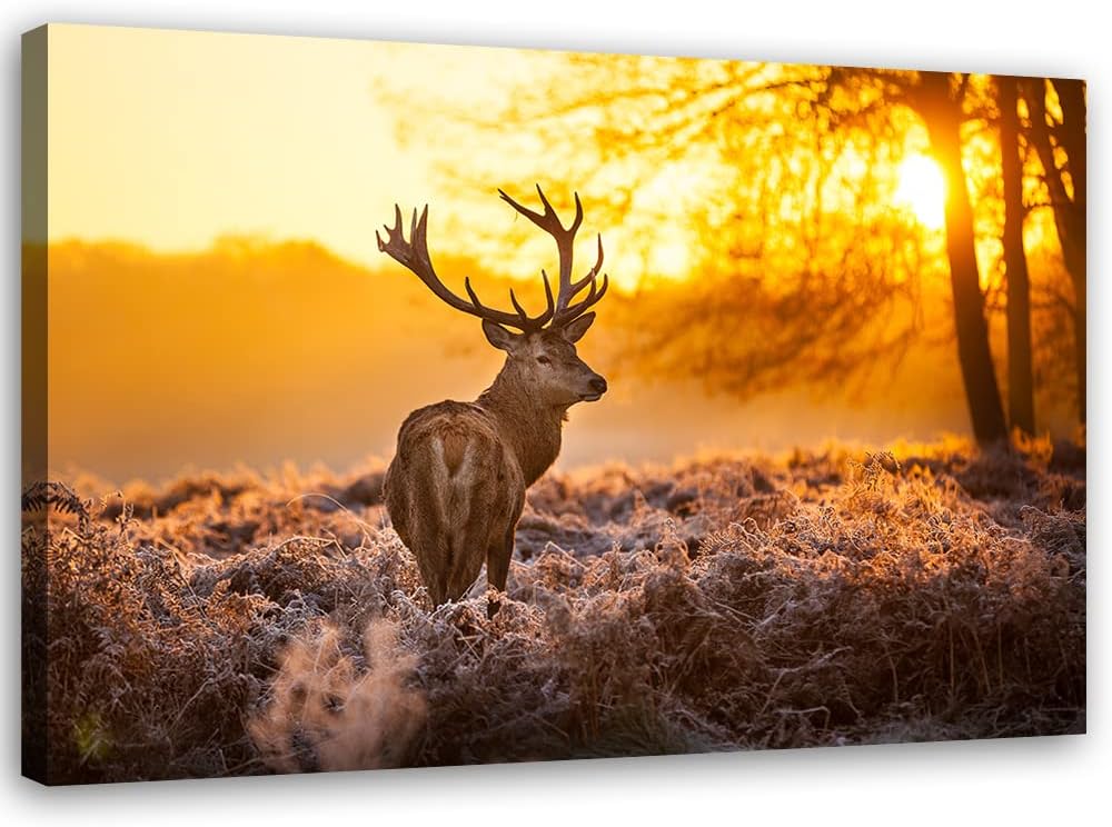 Feeby Vlies Leinwandbild Hirsch Wiese Reh Geweih 90x60 cm Druckbild Wandbild Wanddekoration Deko Wan