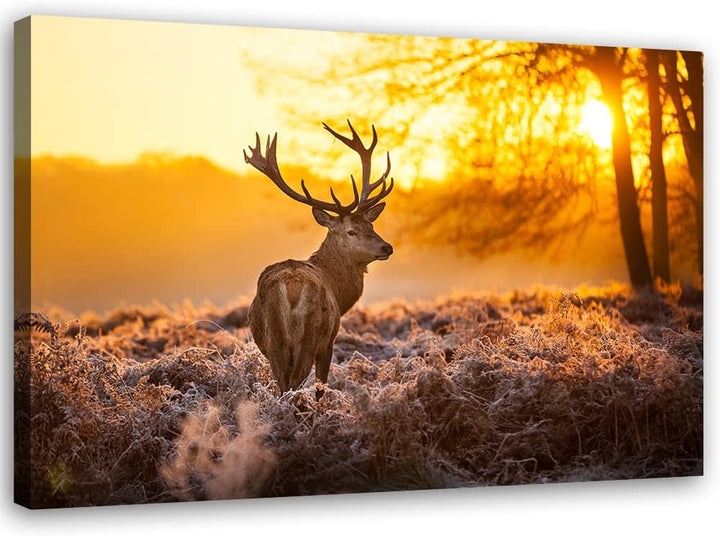 Feeby Vlies Leinwandbild Hirsch Wiese Reh Geweih 90x60 cm Druckbild Wandbild Wanddekoration Deko Wan