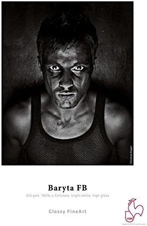Hahnemühle 10641672 Digital FineArt Baryta FB Papier, 350 g/m², DIN A2, 420 x 594 mm, hellweiss, 420