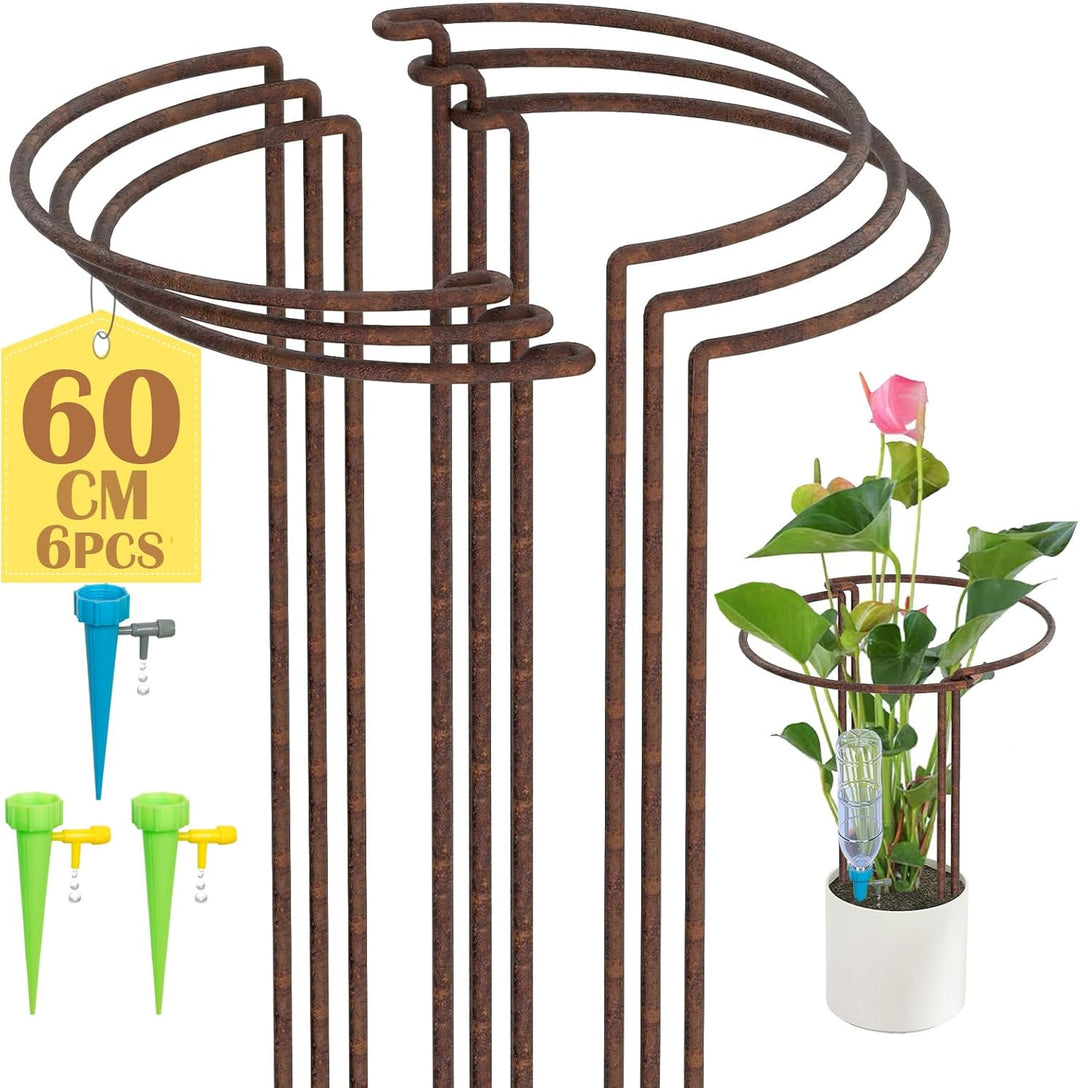 KAZITOO 6 Stück Grosse 60cm hohe Rostige Bogen-Pflanzenstütze, halbrund Rost-Blumenstütz-Ringkäfig-R