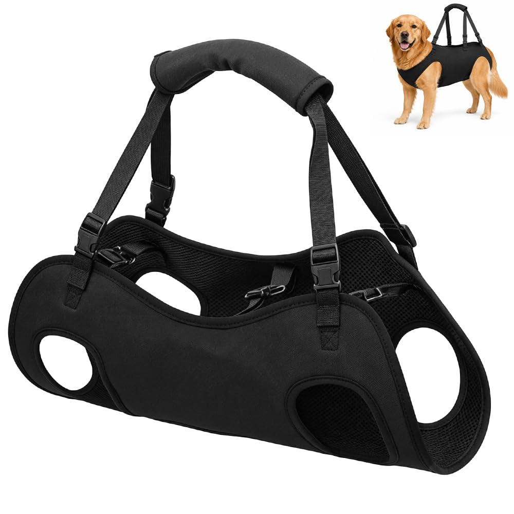 Tragehilfe Hund, Hunde Tragehilfe, Tragegurt Hund mit Verstellbaren Griffen | Tragegeschirr Hund, Tr