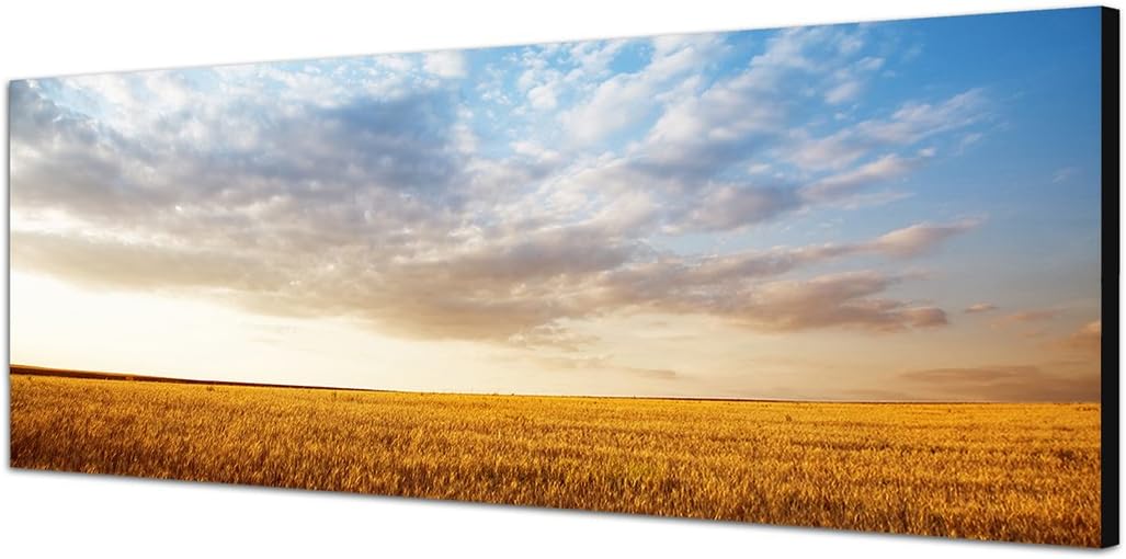 Paul Sinus Art Panoramabild auf Leinwand und Keilrahmen 150x50cm Sommerlandschaft Kornfeld Sonnenunt